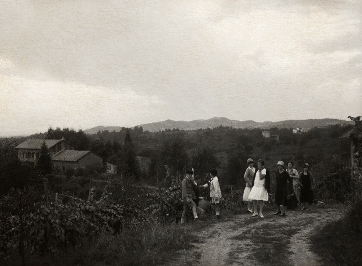Tenute Sella vigneti